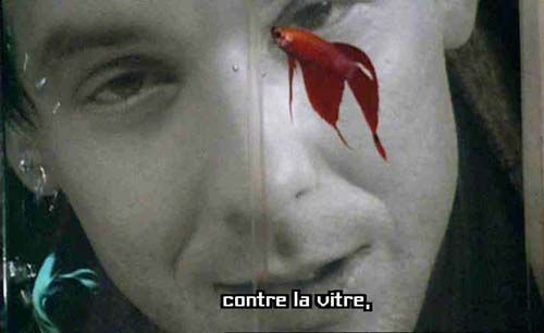 adc-couleur-et-cinema-deux-parutions_breveon642.jpg