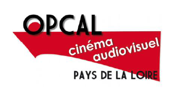 adc-festival-d-angers-2014-la-nouvelle-convention-collective_breveon723.png
