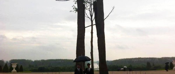 adc-larbre-selon-penone_breveon572.jpg