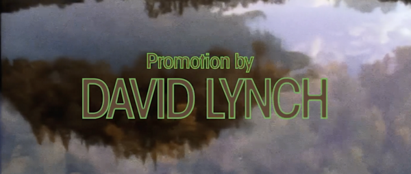 adc-les-films-de-la-promotion-lynch-de-la-femis_capture-decran-2025-09-11-a-19.39.47.png