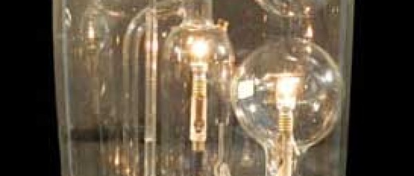adc-mis-sous-globe_breveon539.jpg