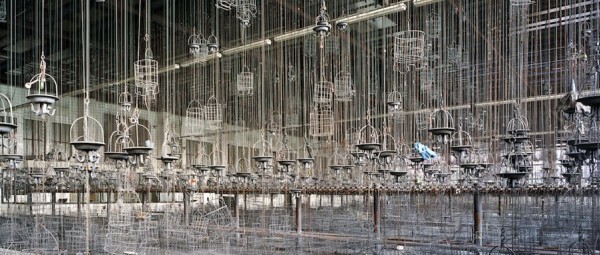 adc-photo-la-passion-des-ruines-industrielles_breveon897.jpg